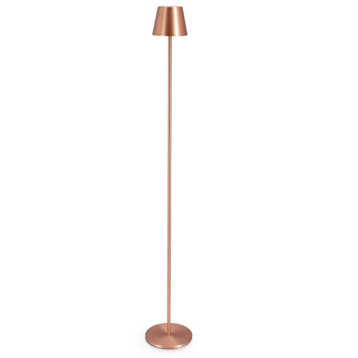 BT ANETTE Bronze modern Indoor floor lamp